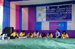 International Museum Day 18th May, 2016